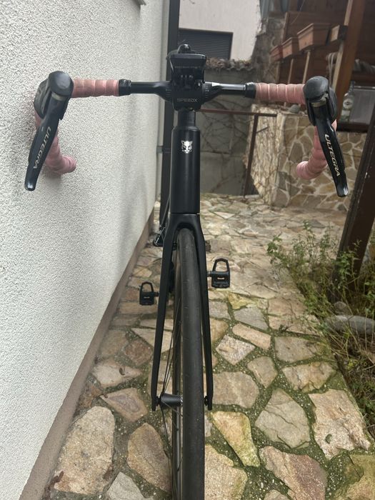 Cursiera full carbon-SpeedX