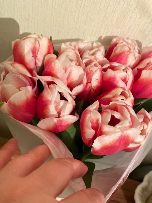 Букет цветов тюльпаны