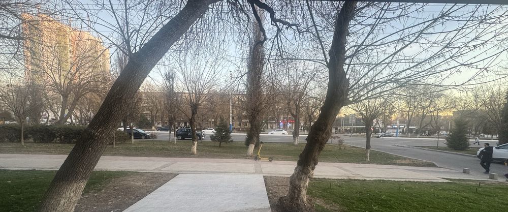 Первая линия! 33 м2 нежилой.