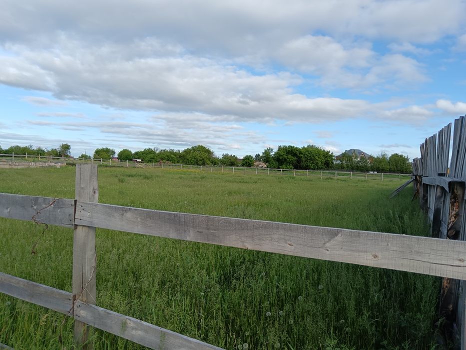 Продам землю в пригороде