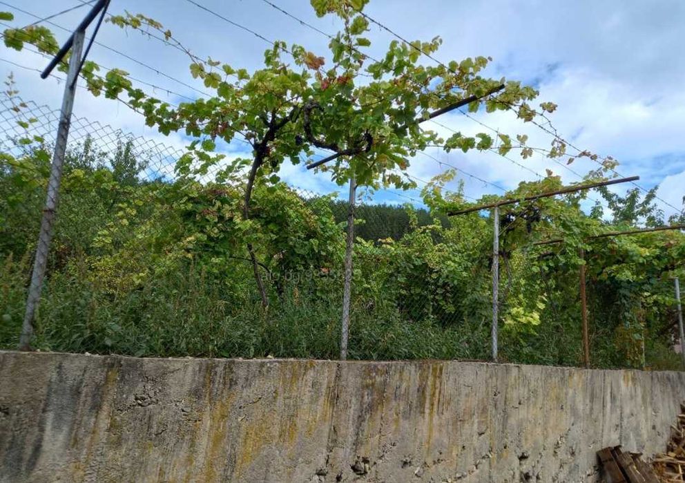 Продава се Парцел в с. Шипочано, Област Кюстендил - 969 кв.м за 19 €/кв.м - Снимка #4