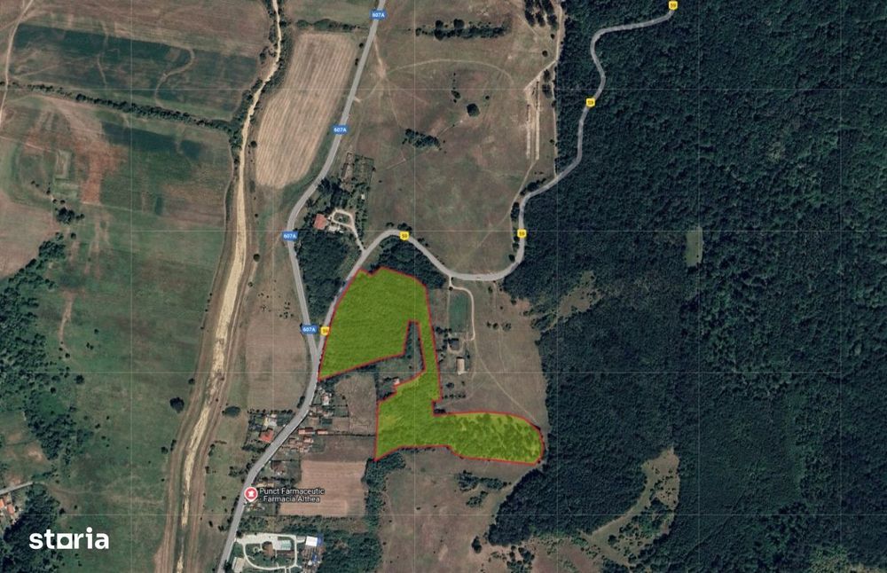 Teren extravilan padure 39.000 mp ~  Prunisor, Mehedinti