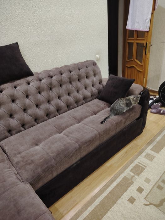 Диван стандартный, раздвижной