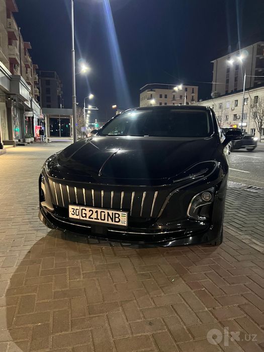 Hongqi E-QM5 2024