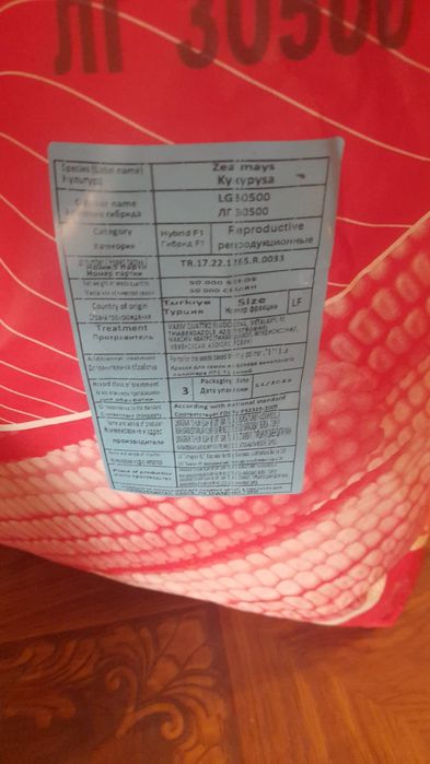 LG семена кукуруза