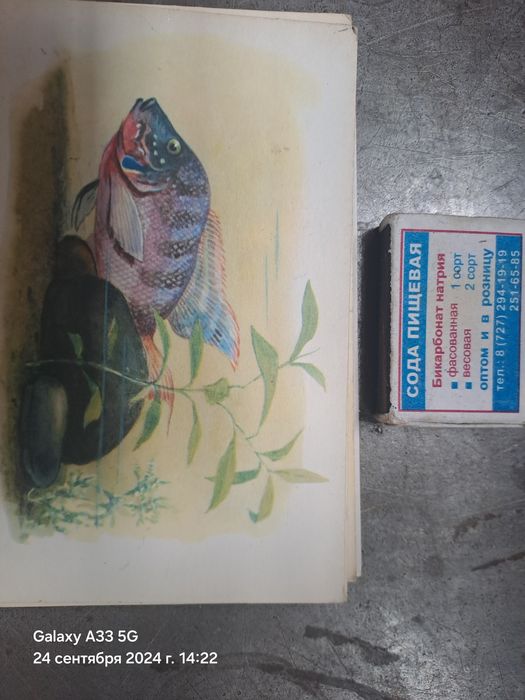 Продам открытки.