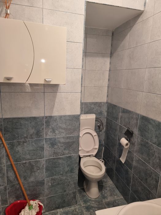 Apartament – Dosu Bricii - Vedere 5