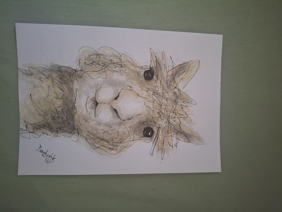 Pictura Alpaca, semnata Dadushk