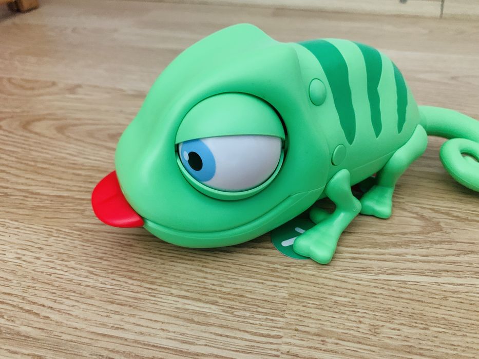 Joc de agilitate In plasa lui Cami