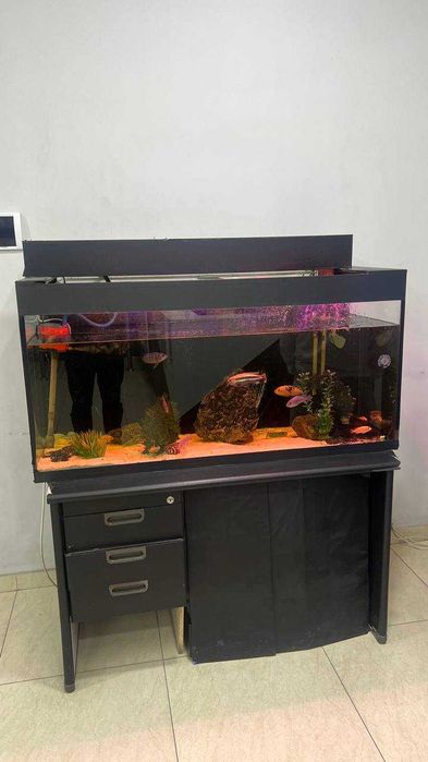 Аквариум сотилади