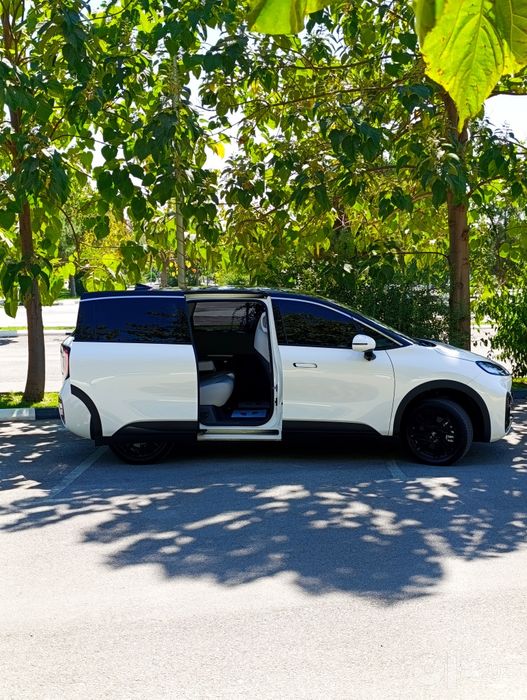 Arcfox Kaola S 500km Автокредит