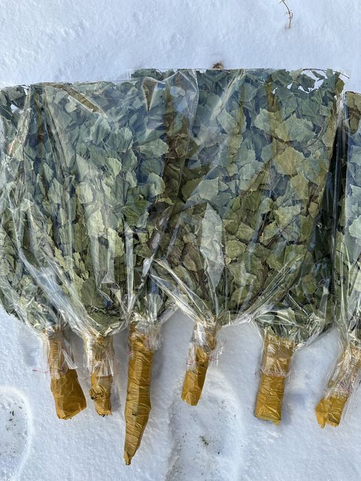 Березовый веники