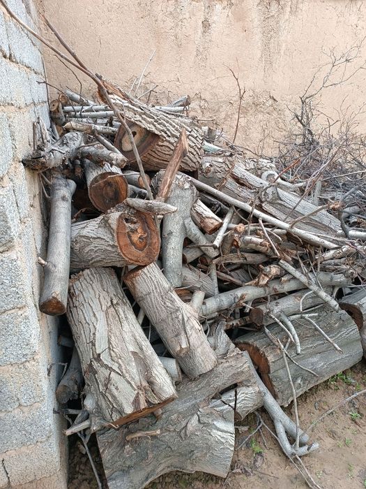 Oʻtin sotiladi srochna