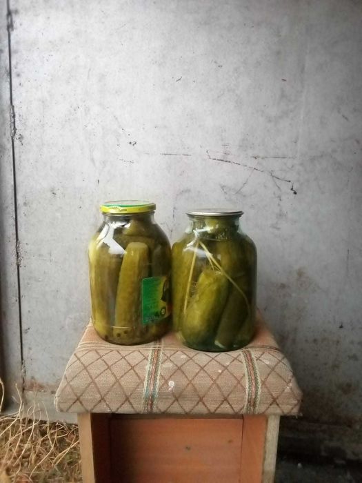 Солёные огурцы в 2л банках