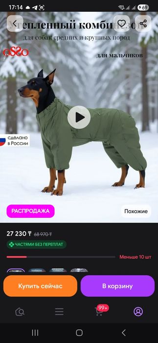 Одежда для собак