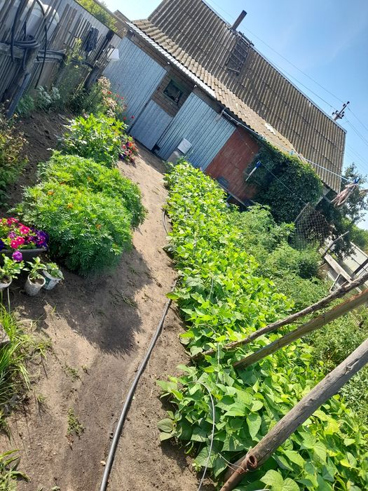 Продам дом село Вишневка