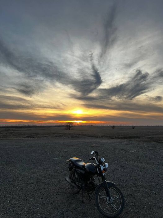 Альфа рейсер 110