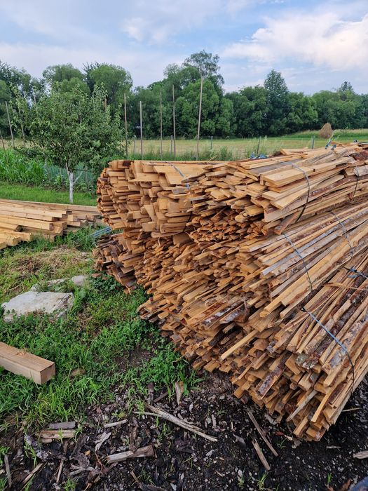 Hartepele Rășinoase Brad