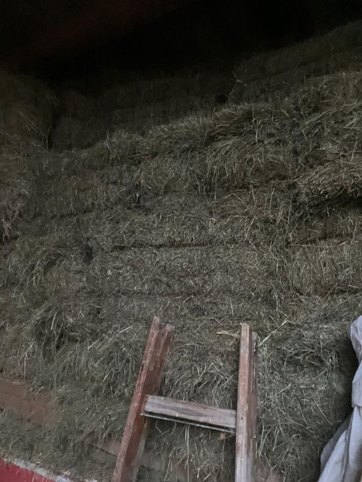 Baloți de fân 16-20 kg
