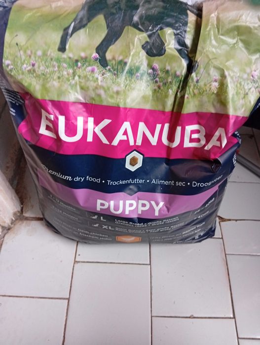 Hrana uscată pentru câini – Eukanuba Puppy Large Breed