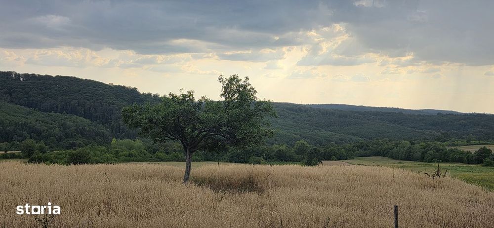 Teren Extravilan 9.528mp/ Vârciorog -Bihor / 30 km de Oradea