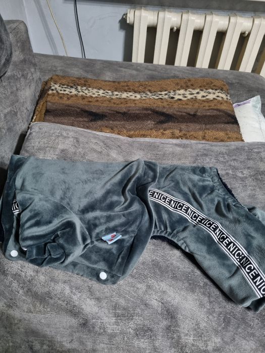 Одежда для мелких пород собак