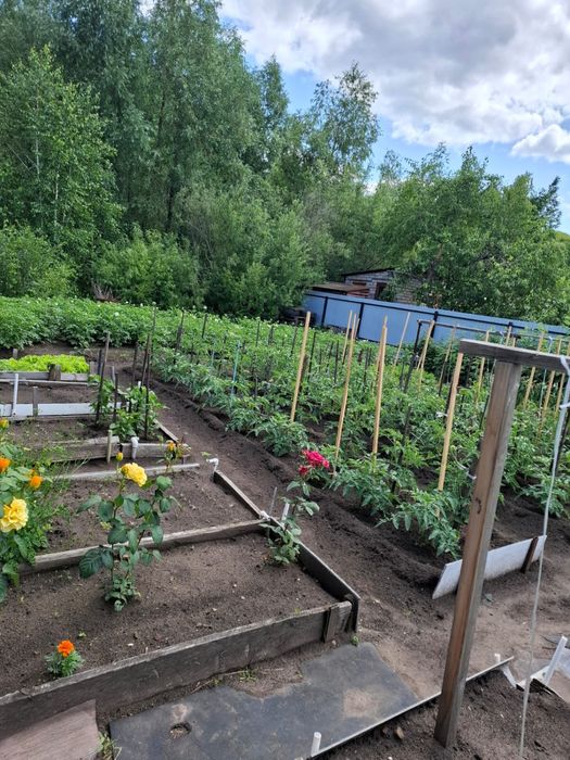 Продам дачу в очень хорошем состояний