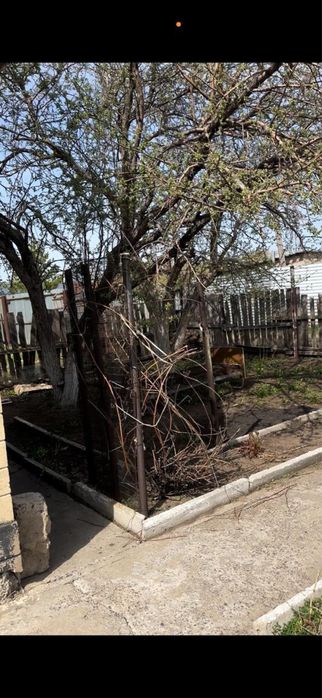 Продаеться дача