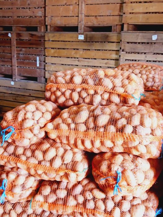 Cartofi alb si rosu consum