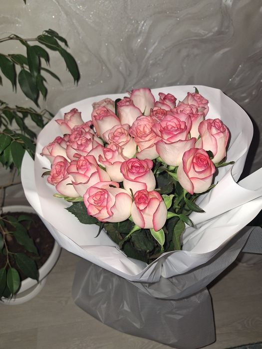 Роза 25 штук продам