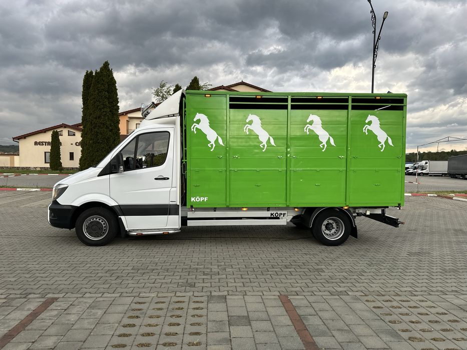 Mercedes sprinter 519 , transport animale , iveco daily
