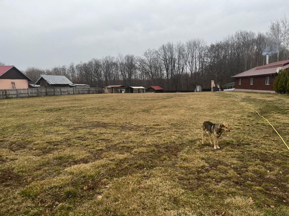 Casa si Teren de vanzare in suprafata de 1501