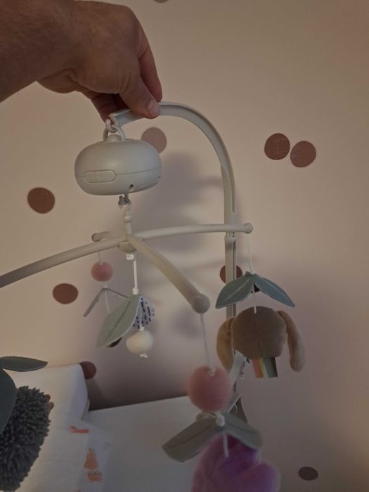 Музикална въртележка Taf Toys