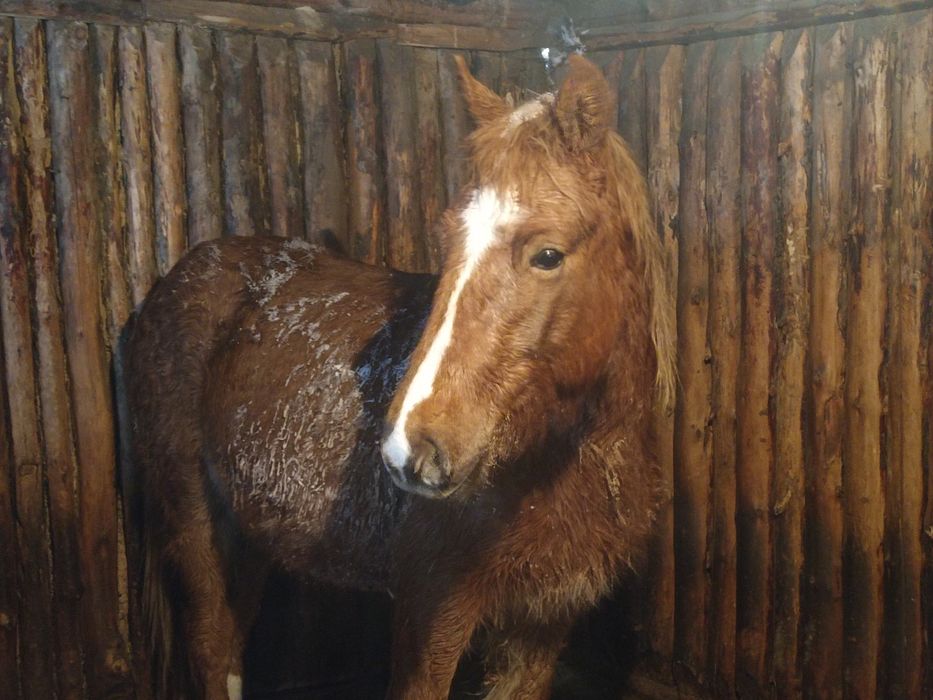 Тай полутяж почти кунан