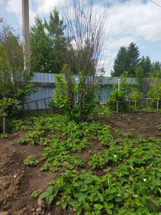 Продам или поменяю на квартиру благоустроенный дом