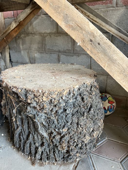 Два пенька для рубки мяса