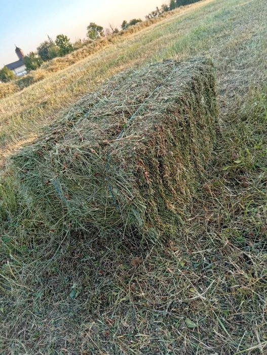 Fân și lucernă Argeș
