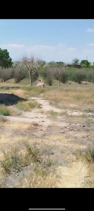 Yer sotiladi 20 sotix