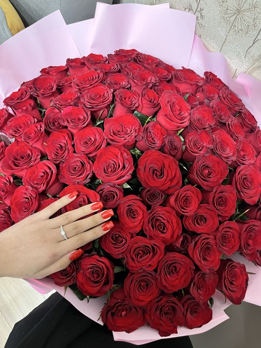 101 рооза,свежие
