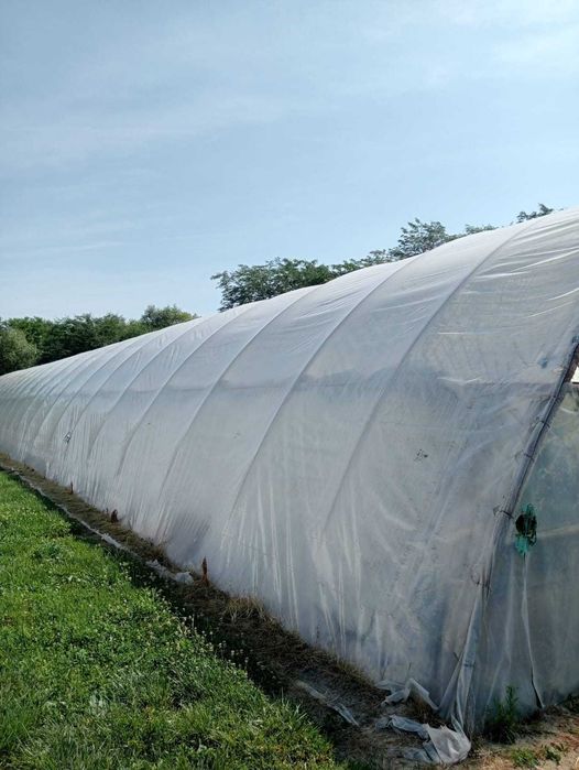 Solar pentru legume