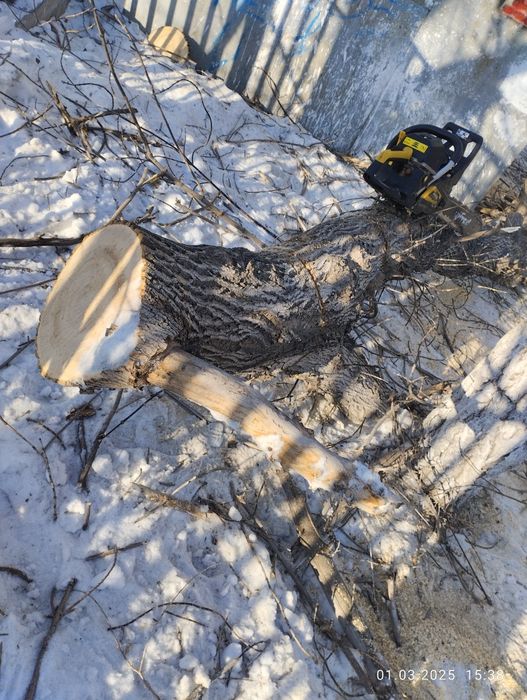 Дрова бесплатно самовывоз