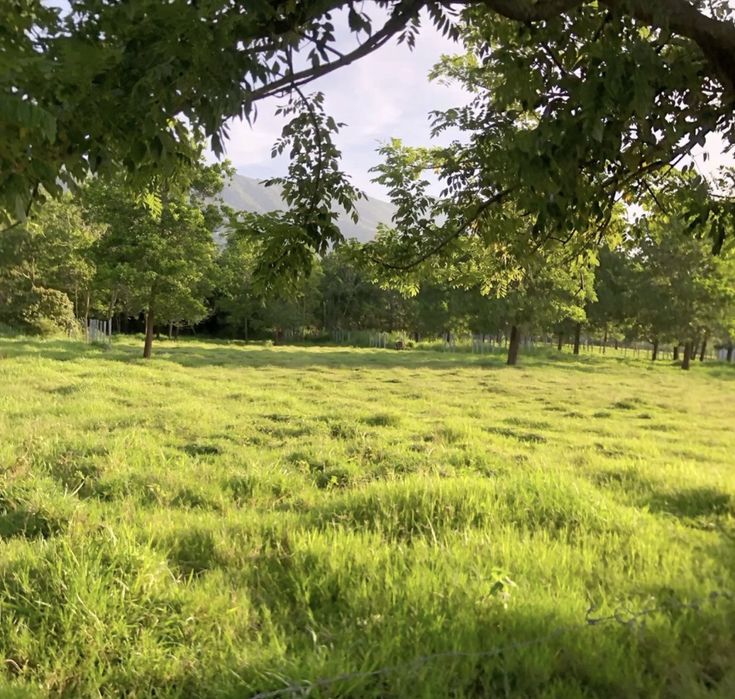 Срочно Жер сатылады Васюки