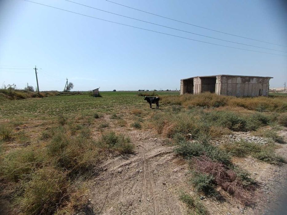 Yer sotiladi "Sherobod" mahallasi, Zang post Molbozorgacha 5 km