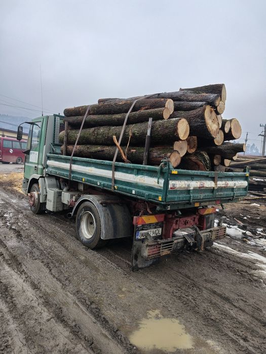 Lemne pentru foc aduc în Gorj, Dolj și Mehedinți