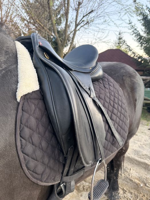 Sa /sei/ echitatie calarie Albion noua  cai