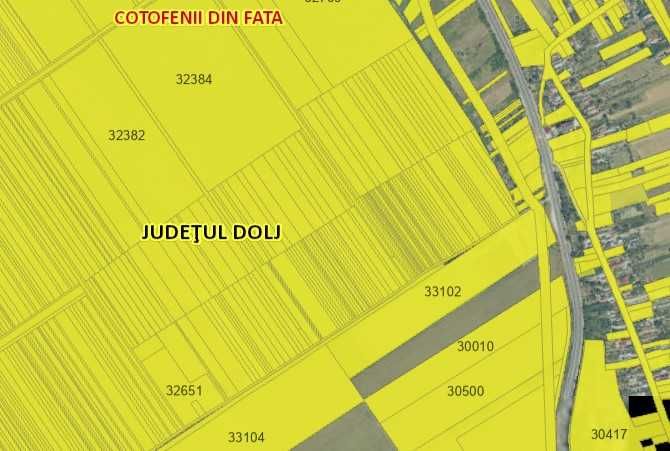 Teren agricol 6000mp Beharca (Cotofenii din Fata) - proprietar