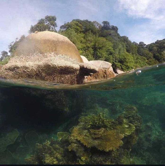 Купол для подводной съемки Gopro