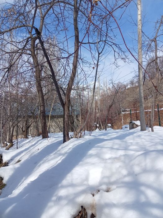 Bustonliq tumani sijjak qishlog'i yer sotiladi