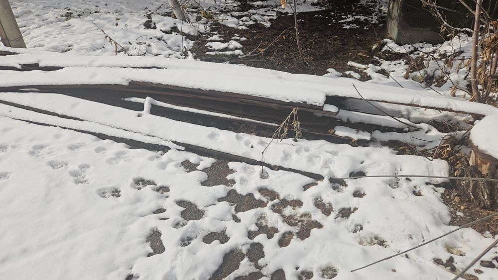 Дрова бесплатно,отын тегін