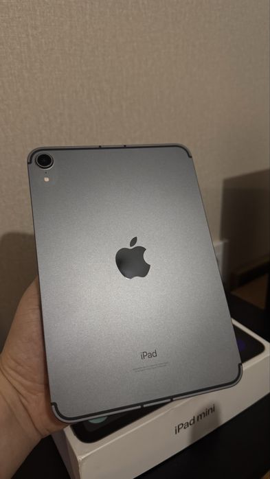 iPad mini 6 256GB Wi-Fi + Cellular (SIM)